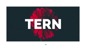 Stomp Opener for After Effects  2021