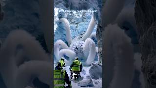 SHOCKING: Giant White Spiders Revived from Frozen Antarctic Depths! #spider #antarctica #nightmare