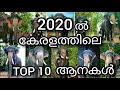Top 10 popular Elephants in Kerala and their details | കേരളത്തിലെ ആദ്യത്തെ 10 പ്രശസ്ത ആനകൾ