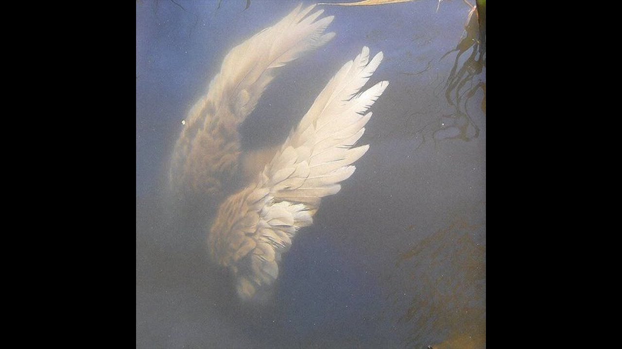 [free] tana + untiljapan type beat - 