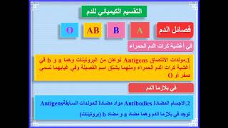 5 - توارث قصائل الدم في الإنسان - تعدد البدائل