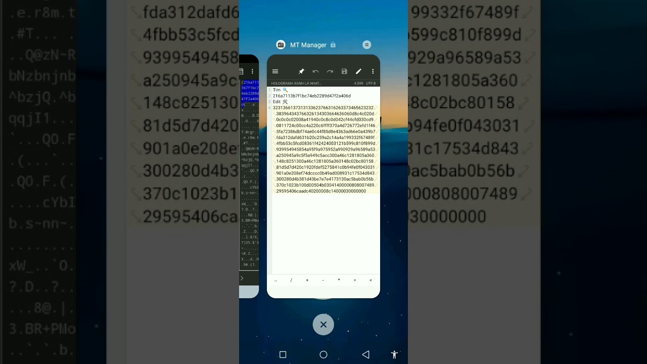 AELT TEAM #7 || HD TẠO HOLOGRAM🍐BẰNG HEX EDITOR || HOW TO CREATED HOLOGRAMA EQUAL HEX EDITOR