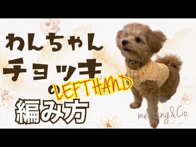 LEFT handed 左利きさん用 わんちゃんのチョッキの編み方 by meetang