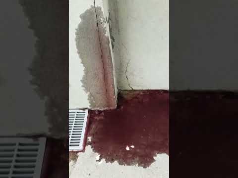 River of wine flows through the street after tanks at distillery burst #Shorts