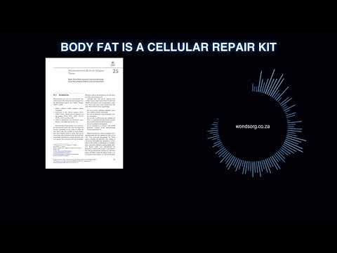 P&P - 25 - Body fat is a cellular repair kit - Deep Dive Podcast