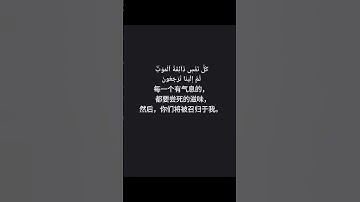 القرآن الكريم 古兰经 اللغة الصينيه 中文