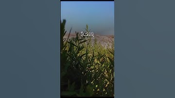 ما شاء الله تبارك الرحمن قران الكريم