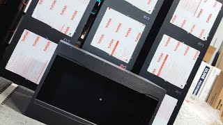 Green Tree Python Kits Explained - Enclosure Talk