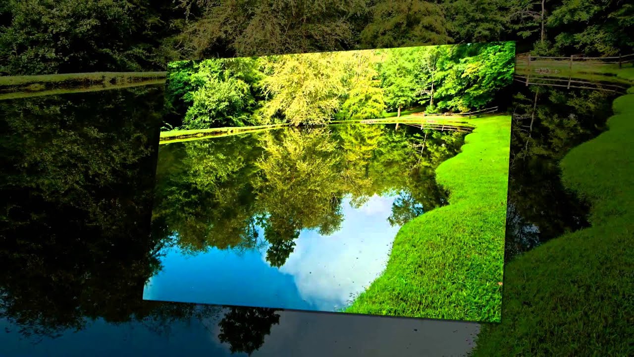 Reflections In Nature