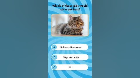 General Knowledge Quiz: Can You Score 4/4 💡🎯