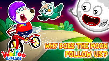 Why Does the Moon Follow Us? 🌕 Solar System | 🔍Wolfoo Explore - Nature | Educational Videos for Kids