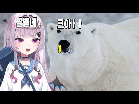 멋곰의 울음소리