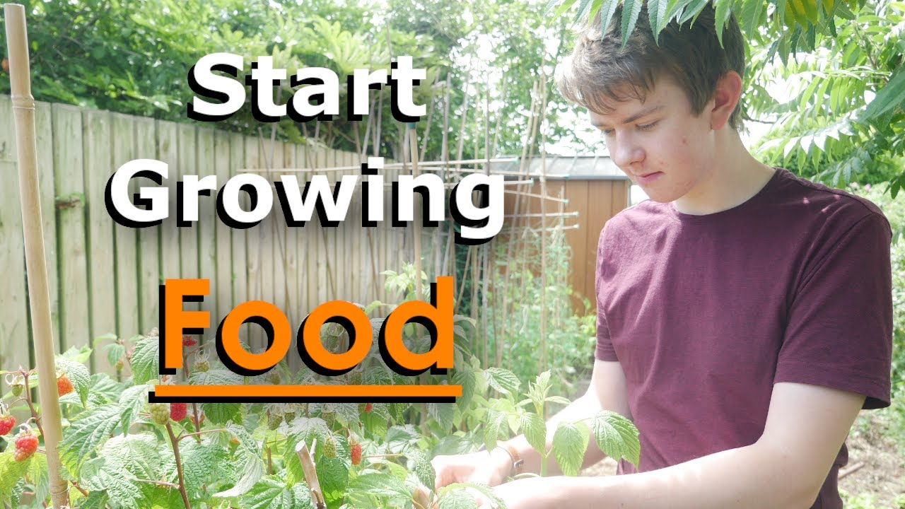 How To Start Growing Your Own Food | Vegetable Gardening Tips - YouTube