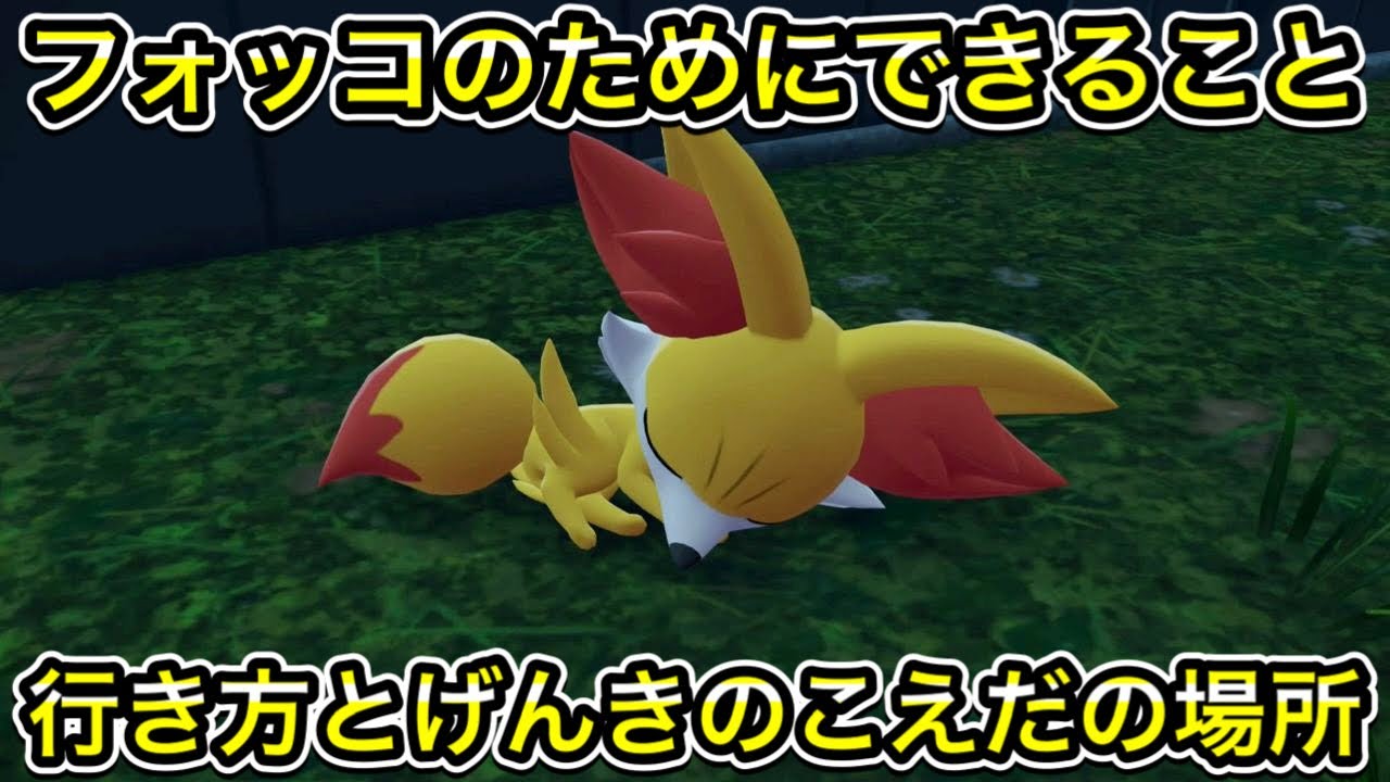 元気いっぱい フォッコのためにできることの行き方！げんきのこえだの場所も教えます
