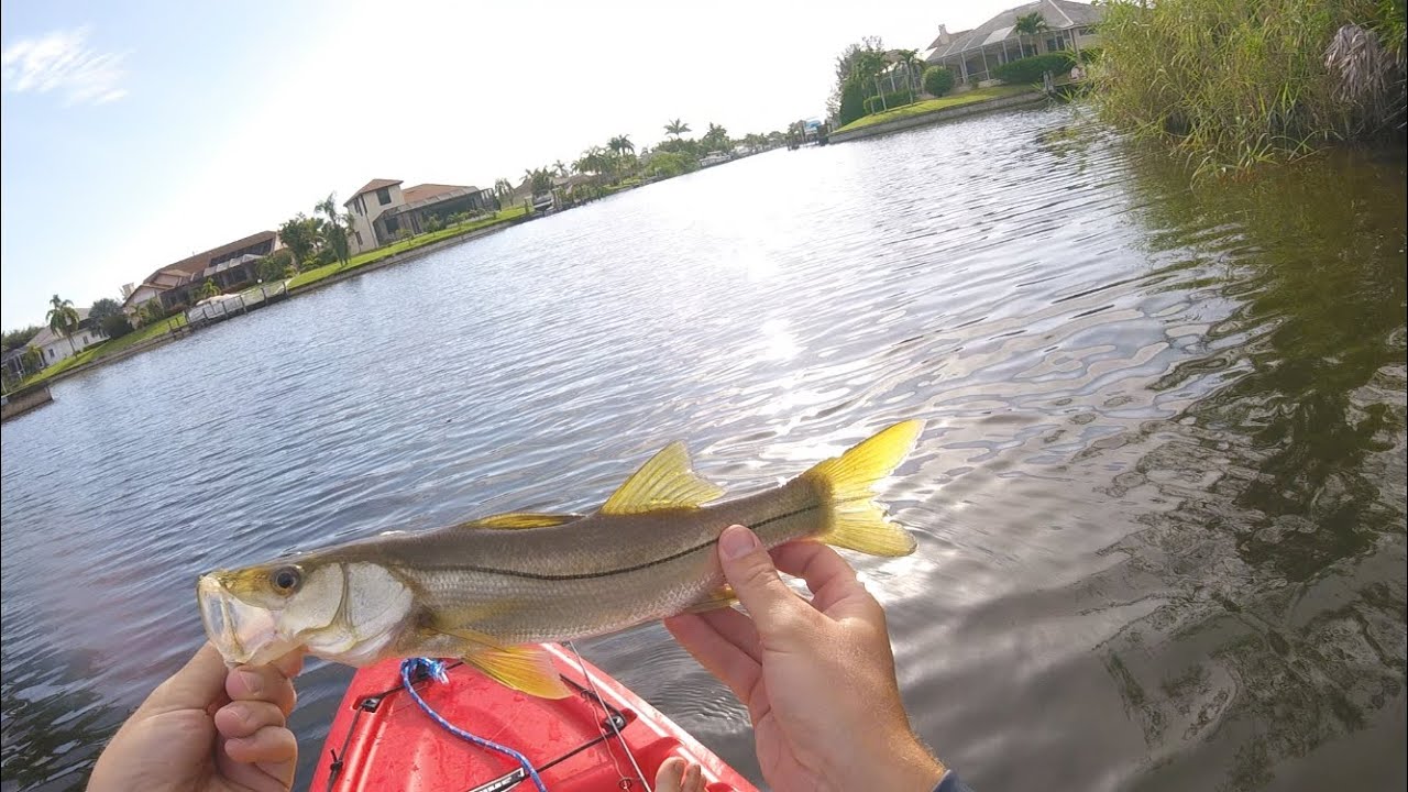 Cape Coral multi species canal fishing 