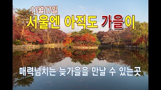 아직 서울에 단풍이 남아있는곳은?/ 서울에서 늦가을 풍경이 아름다운곳