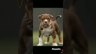 11 De Setembro De 2022