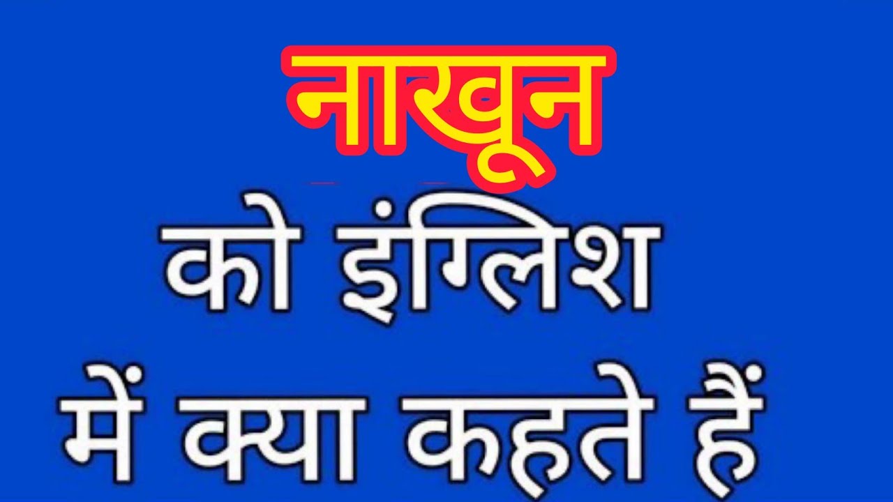 Nakhun Ko English Mein Kya Kahate Hain 