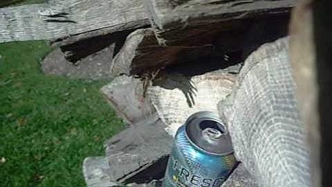 BoyI/D-Boys M4 CQB Accuracy Test