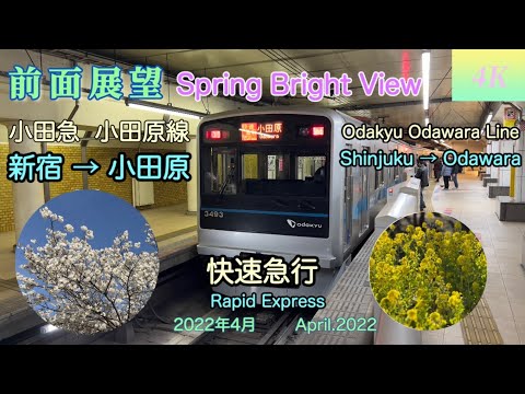 4K 前面展望 Front View 】春満開の小田原線の旅 小田急小田原線 快速