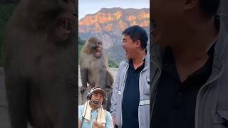 Menurut Darwin kita ini basaudara #funny