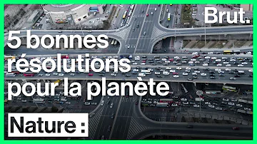 Quelles sont les conséquences de la pollution sur la planète Terre ?