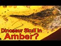 A Tiny Dinosaur Head Has Been Found in Amber - But At What Cost?
