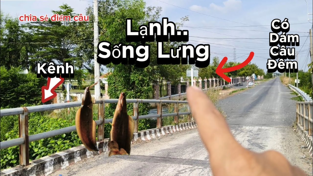 Điểm câu cá  trê vàng không mà không dám câu đêm khi đi một mình.....