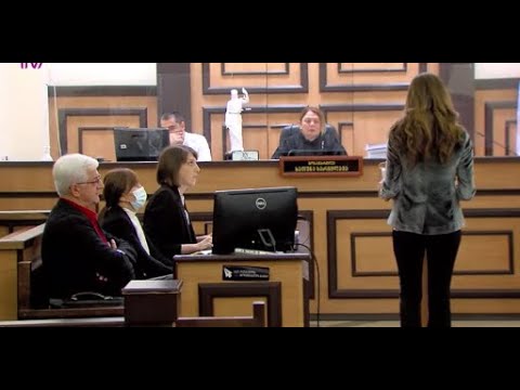 ქორწილამდე დეპრესიის გარეშე ვცხოვრობდი - ნეკა დოროყაშვილის მორიგი ჩვენება ყოფილი მეუღლის წინააღმდეგ