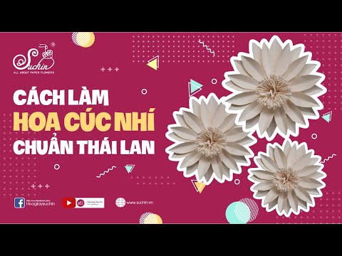Video Hướng dẫn làm hoa cúc nhí bằng giấy mỹ thuật đơn giản... - YouTube