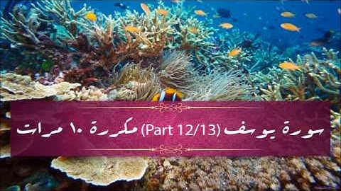 Surah Yusuf (part 12/13) repeated 10 times - سورة يوسف  (part 12/13) مكررة 10 مرات