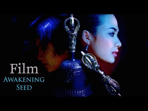 Video Awakening Seed -Hạt Giống Thức Tỉnh- 영화 치유 우울증-각성 -... - youtube