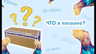 Что в посылке?