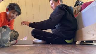 Me and my friends play bird bingo!