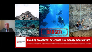 Corporate governance and leadership series: Building an optimal enterprise risk management culture
