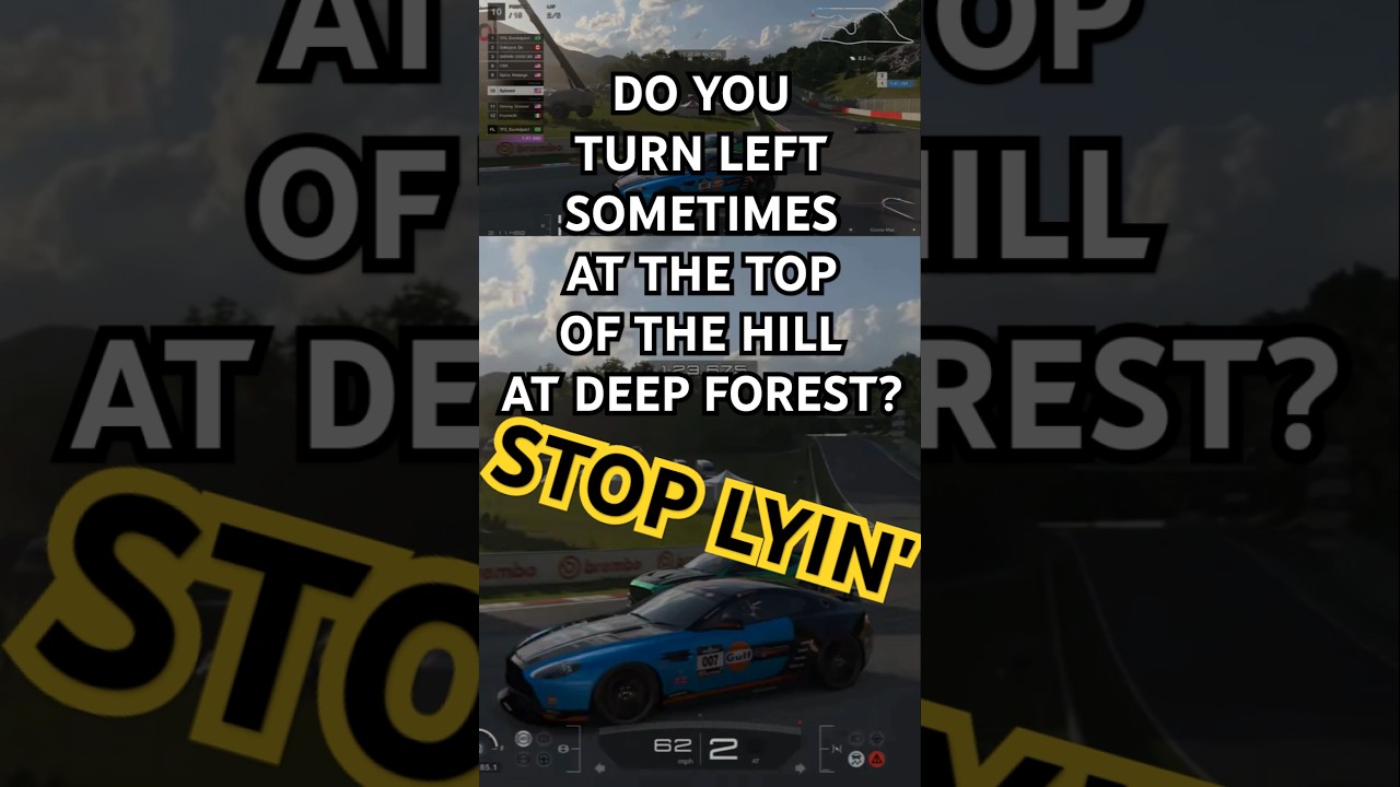 Door-To-Door Deep Forest Unicorn Action 