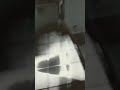 Terror