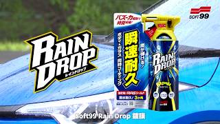 台吉化工 | SOFT99　Rain Drop 瞬速耐久 鍍膜劑