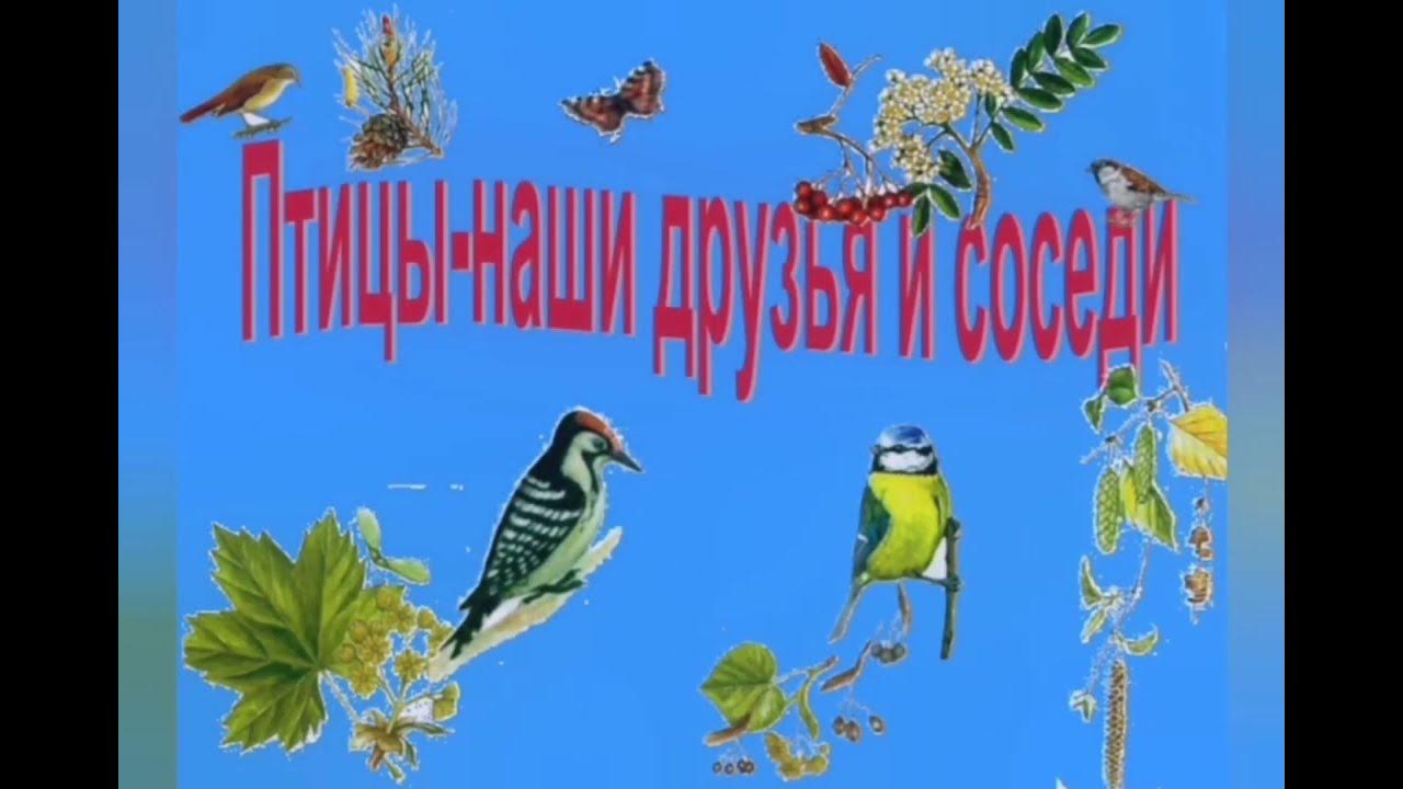 Певчие птицы наши верные друзья нужно тире