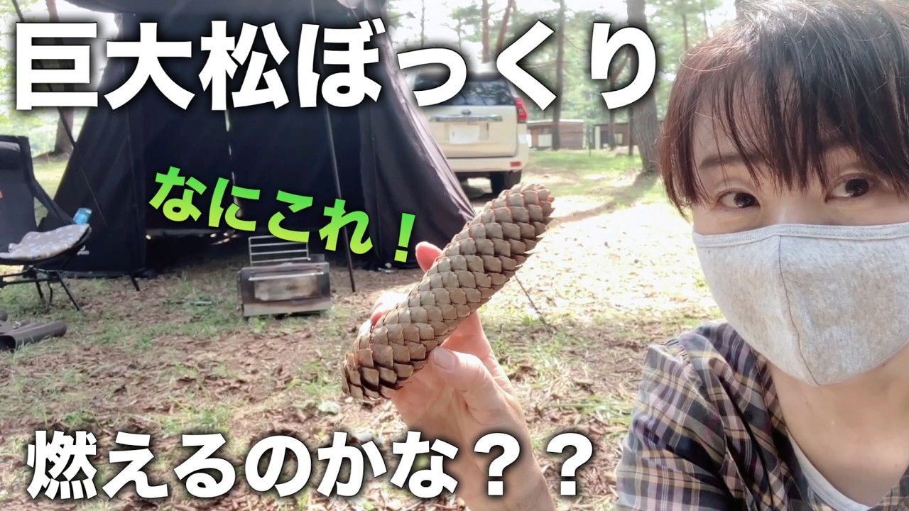 【誰ですか、う◯ことかいってるのは？】ダイソーのダッチオーブンと薪ストーブで焼き上げる放ったらかしパン　そして巨大松ぼっくりの森