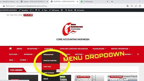 TIPS MEMBUAT MENU DROPDOWN PADA WORDPRESS