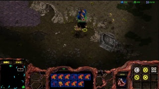 StarCraft: REMASTERED | PLAY FOR FUN ^^ 02.05.18