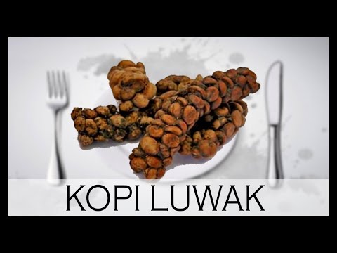 Vidéo: Comment Faire Du Café Kopi Luwak