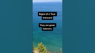 Signs of a True Introvert #shorts