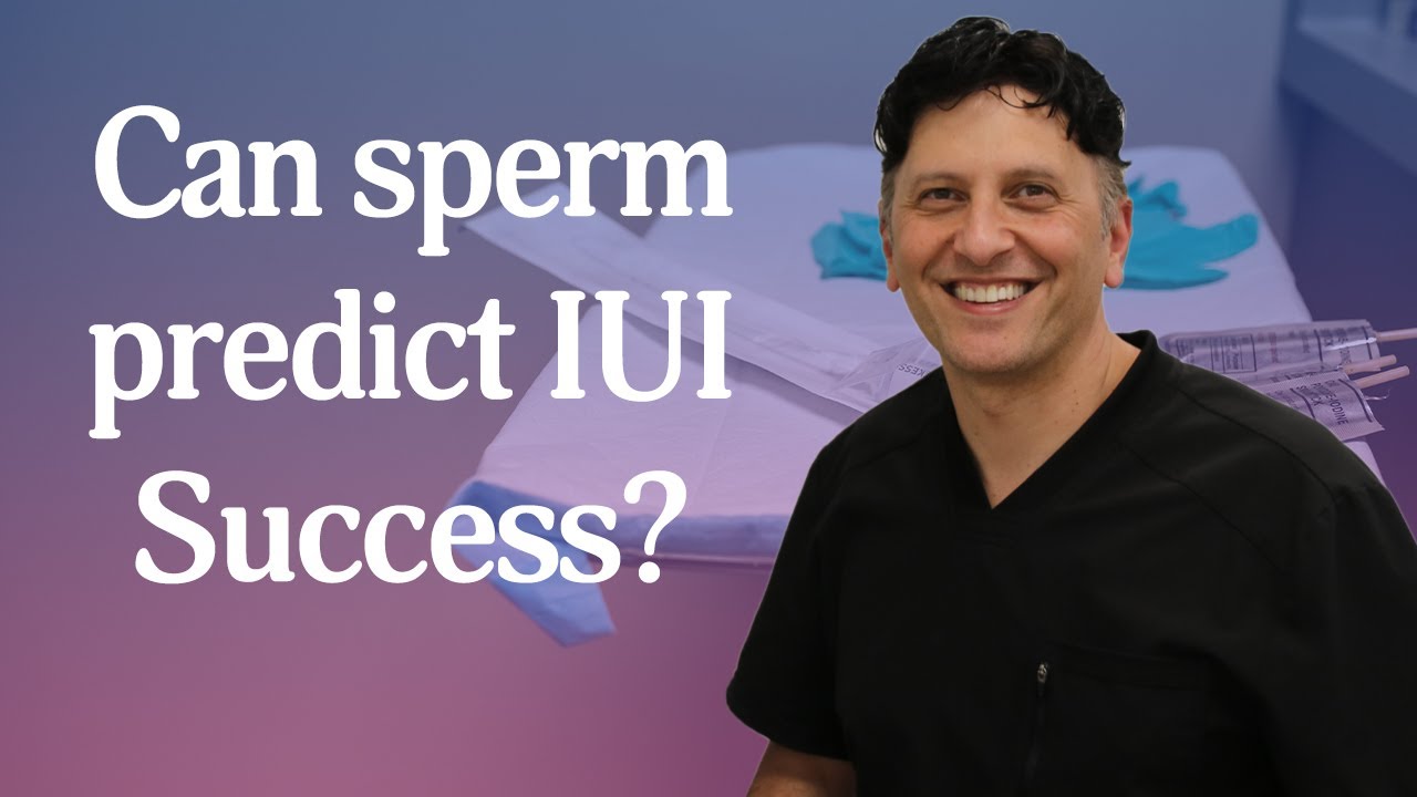 Can your total motile sperm count predict IUI outcomes?