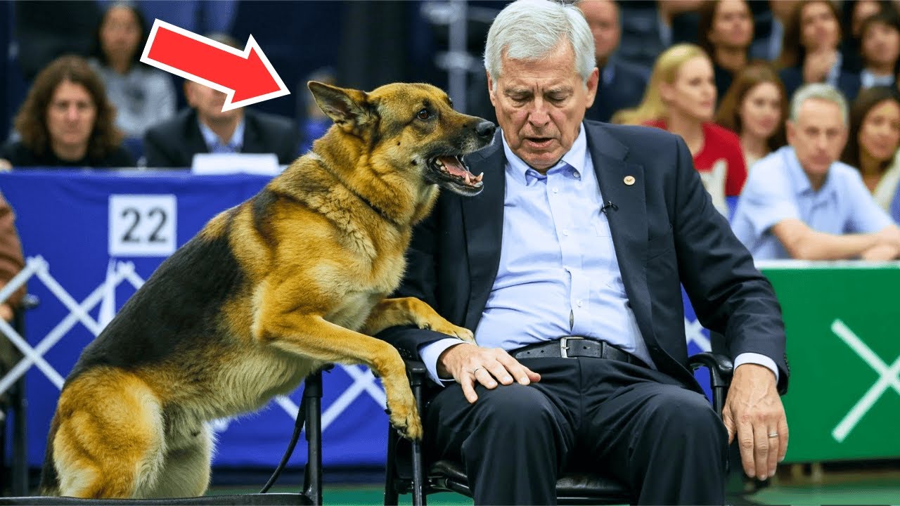 Scarred Pilot And Her Deaf Dog Entered Competition — What The Dog Did Left Everyone In Tears