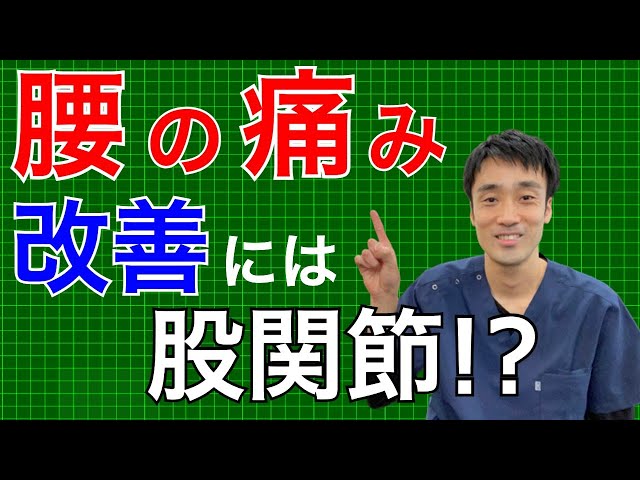 腰痛を治すために一番大切なのは•••股関節のストレッチ｜兵庫県西宮