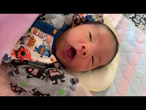 生後8日目の新生児。あくびしながら寝てる姿が愛しい。newborn  baby
