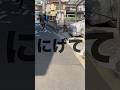 逃げて逃げて逃げて逃げて