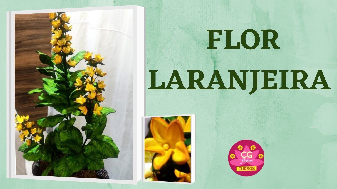 | FLOR LARANJEIRA